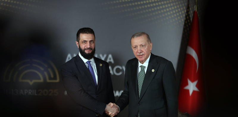 اردوغان - الشراع - 